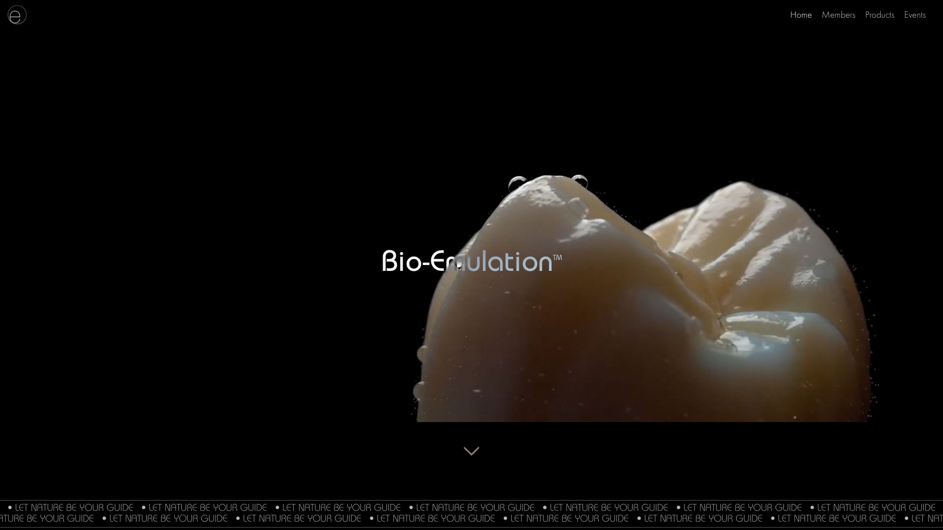 Bio-Emulation